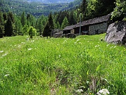 Alpe Agarù (i colori del pomeriggio...)